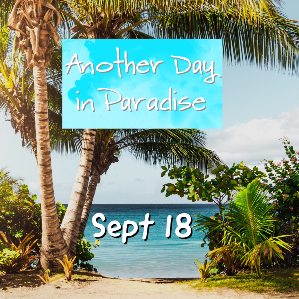 Another Day in Paradise theme