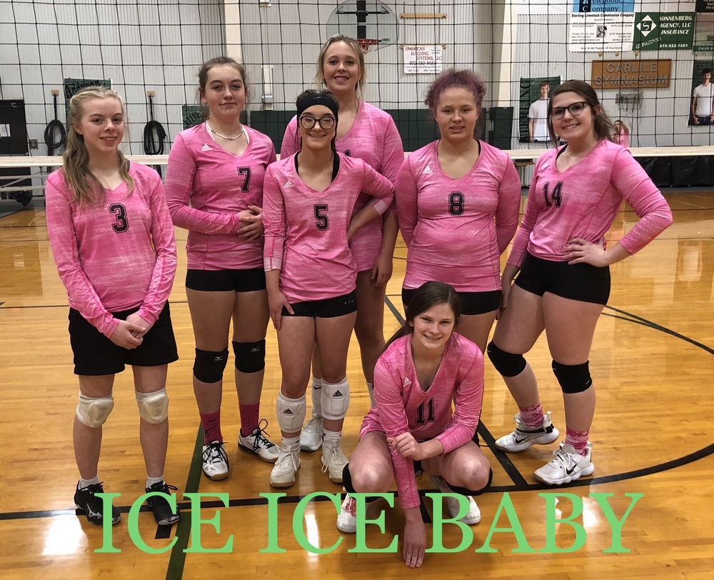 Volleyball