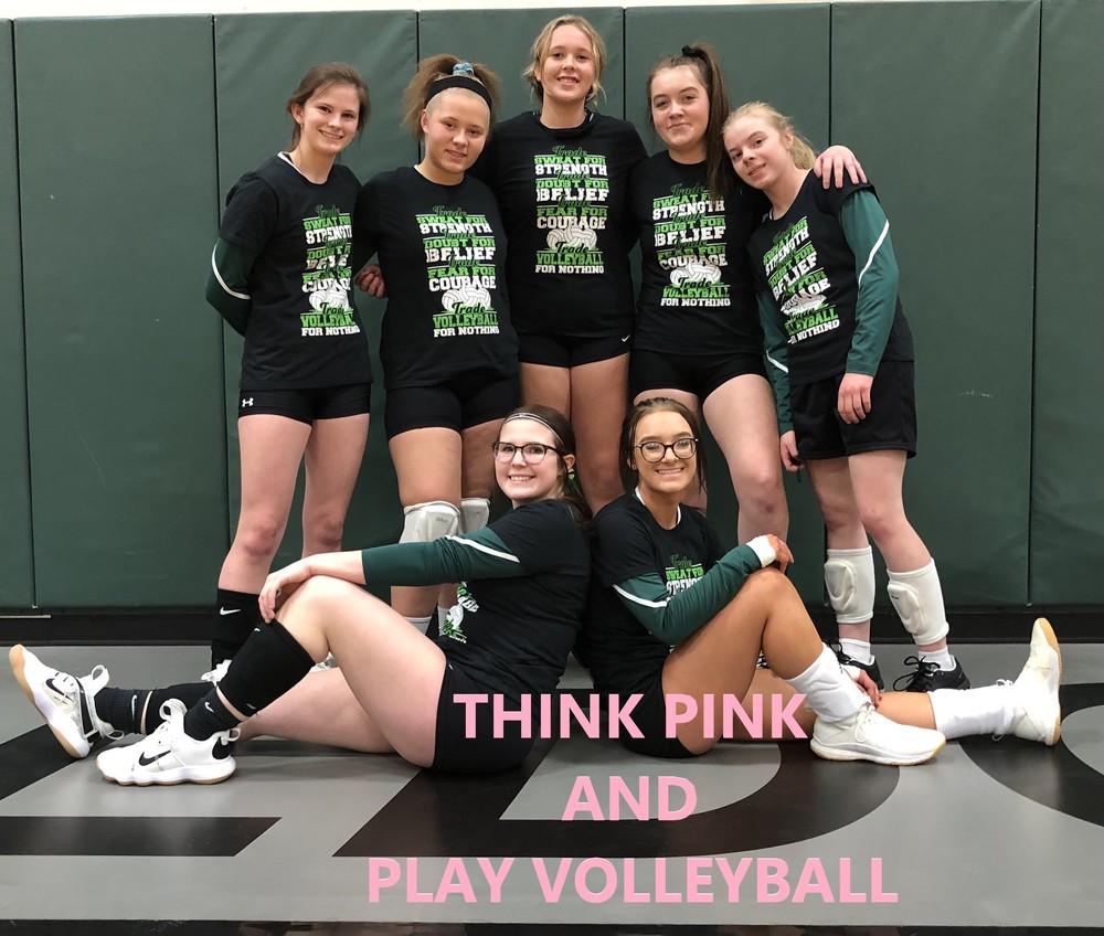 ladyb vb