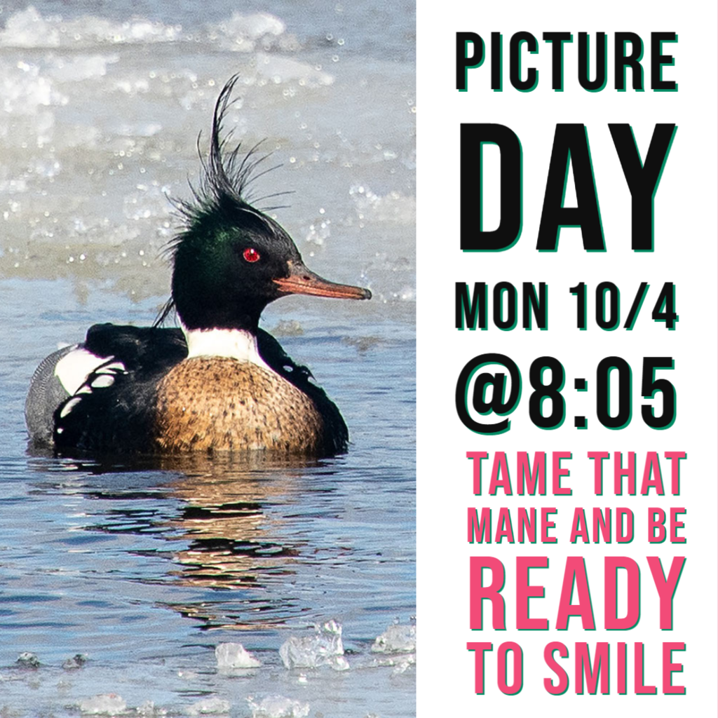 Picture Day